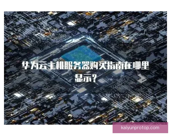 开云最新网址在哪里获取最安全可靠详细指南与访问方式解析